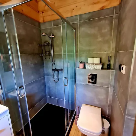 Tatil Evi Na Brzyzku Kościelisko